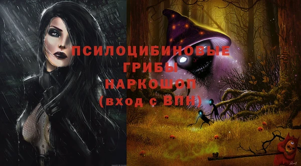 шишки Алексин