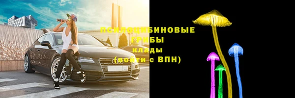 шишки Алексин