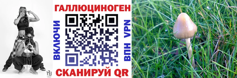 как найти закладки Чёрмоз Галлюциногенные грибы мицелий